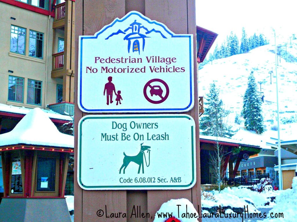 The Village at Squaw Valley is Dog Friendly