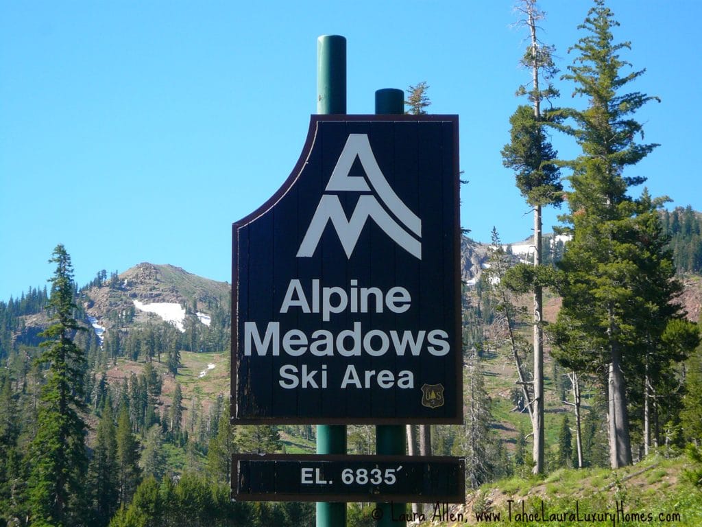 Alpine Meadows Homes for Sale