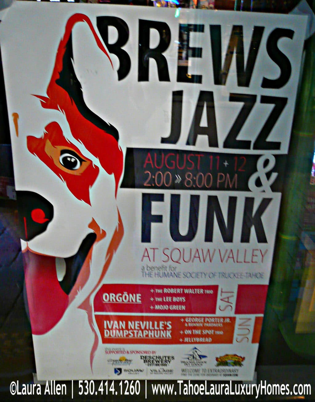 Brews, Jazz and Funk Fest in Squaw Valley 