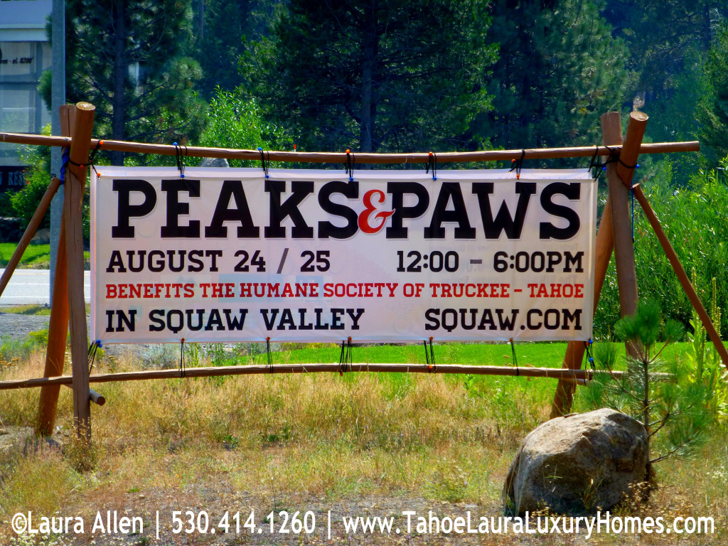 Peaks and Paws Festival - Squaw Valley, August 24 - 25, 2013 