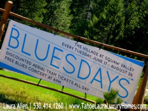 Bluesdays Free Jazz Concerts, Tuesdays, Squaw Valley, 2014 Schedule 