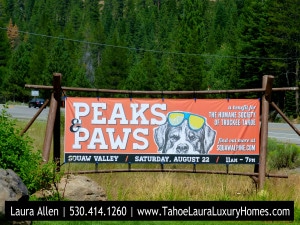 Peaks and Paws Festival - Squaw Valley, Saturday, August 22, 2015