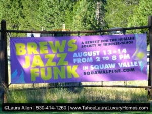 Brews Jazz and Funk Festival - Squaw Valley 2016