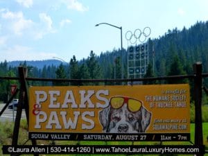 Peaks and Paws Festival - Squaw Valley August 2016