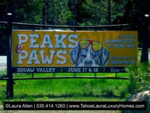 Peaks and Paws Festival - Squaw Valley 2017