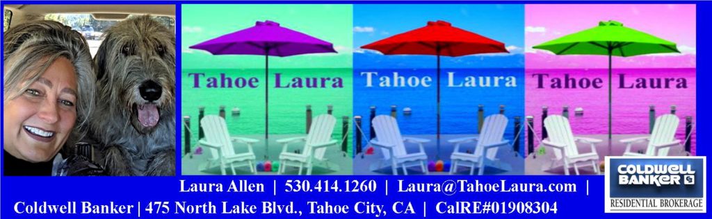 Laura Allen, Lake Tahoe-Truckee Real Estate Agent