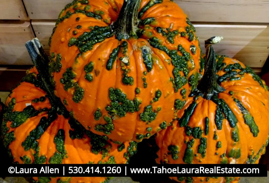 Tahoe City Fall Festival and Pumpkin Patch 2019