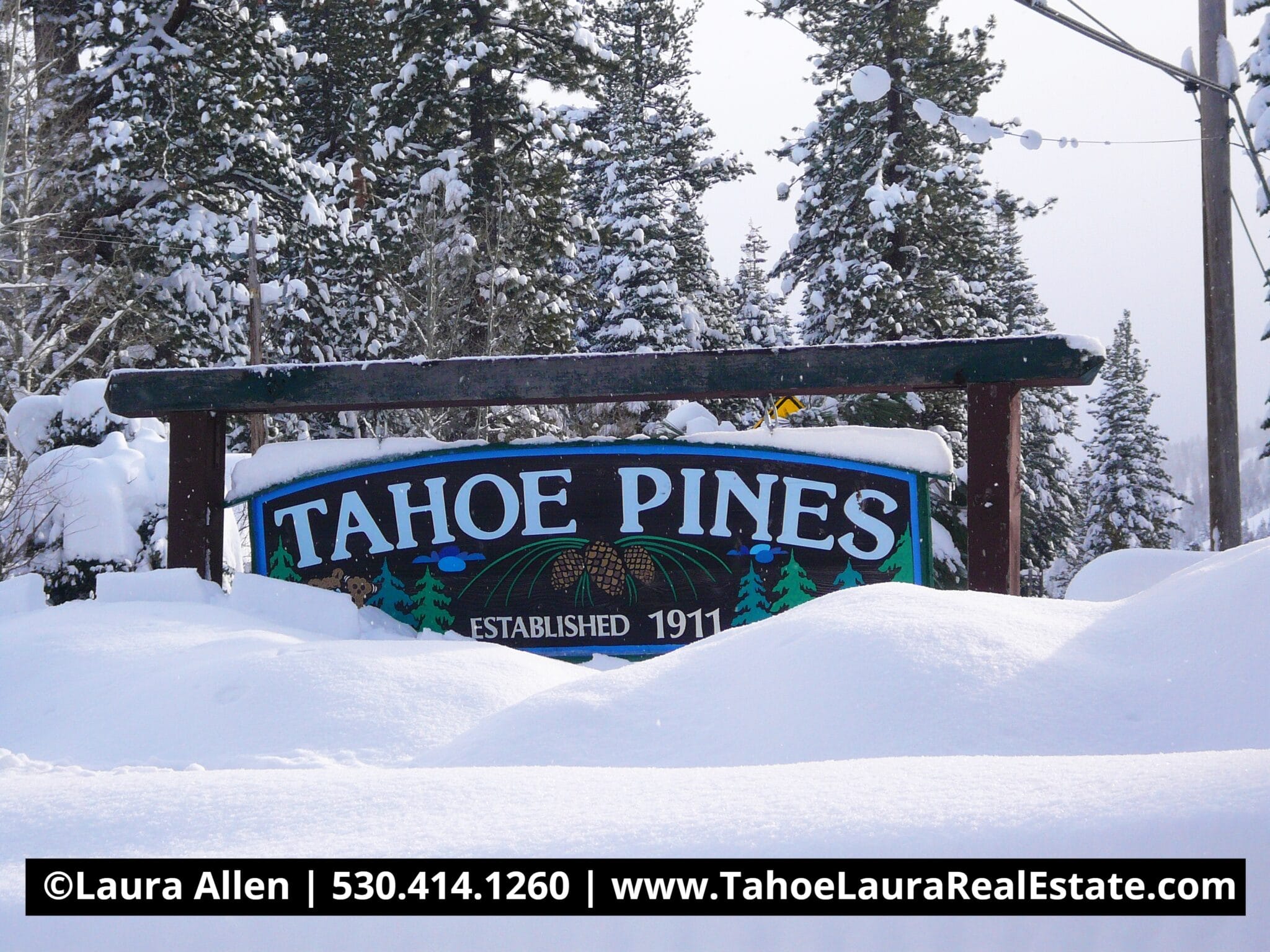 Tahoe Pines Neighborhood Homewood CA 96141