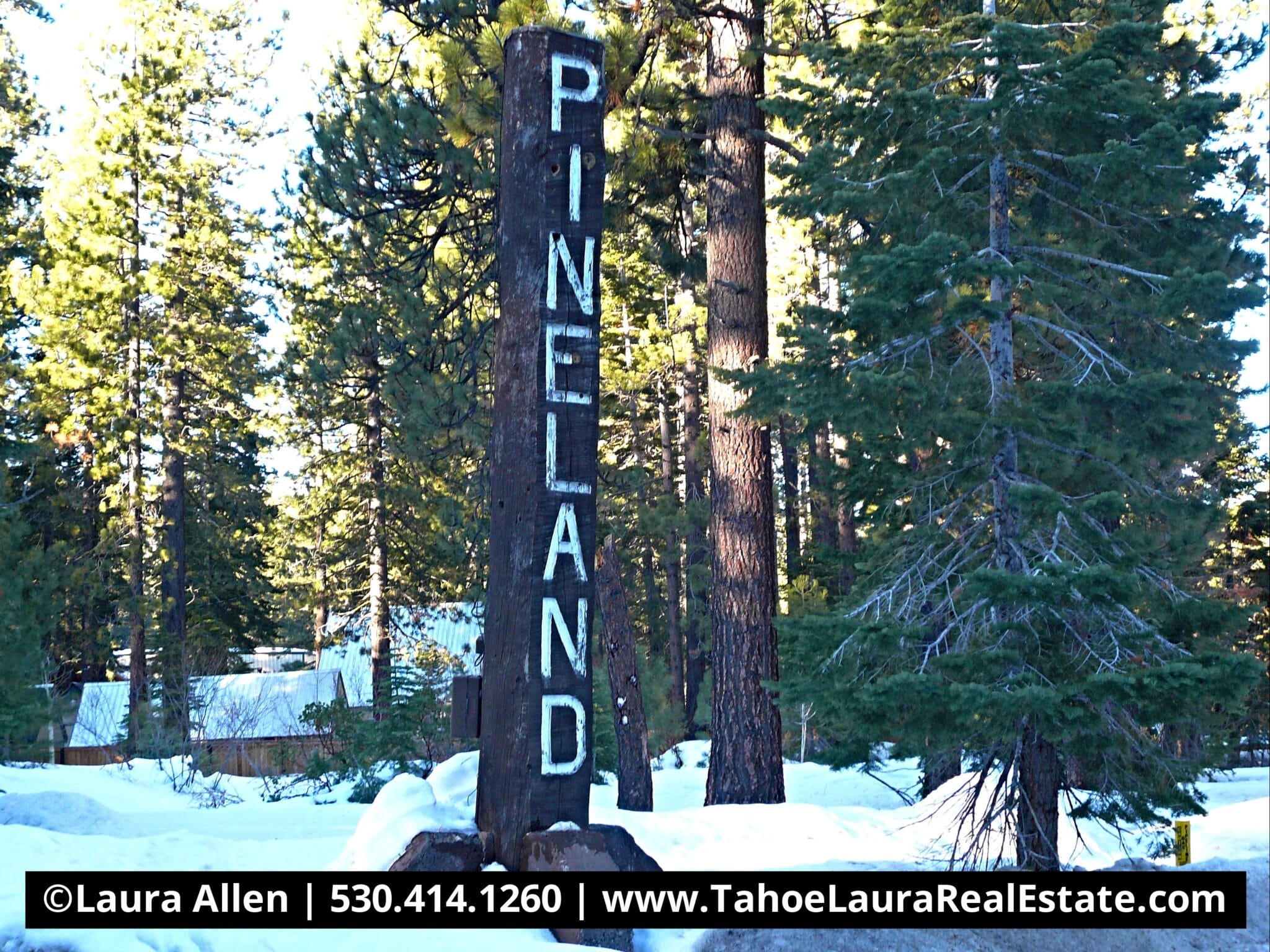 Pineland Homes for Sale in Tahoe City, CA