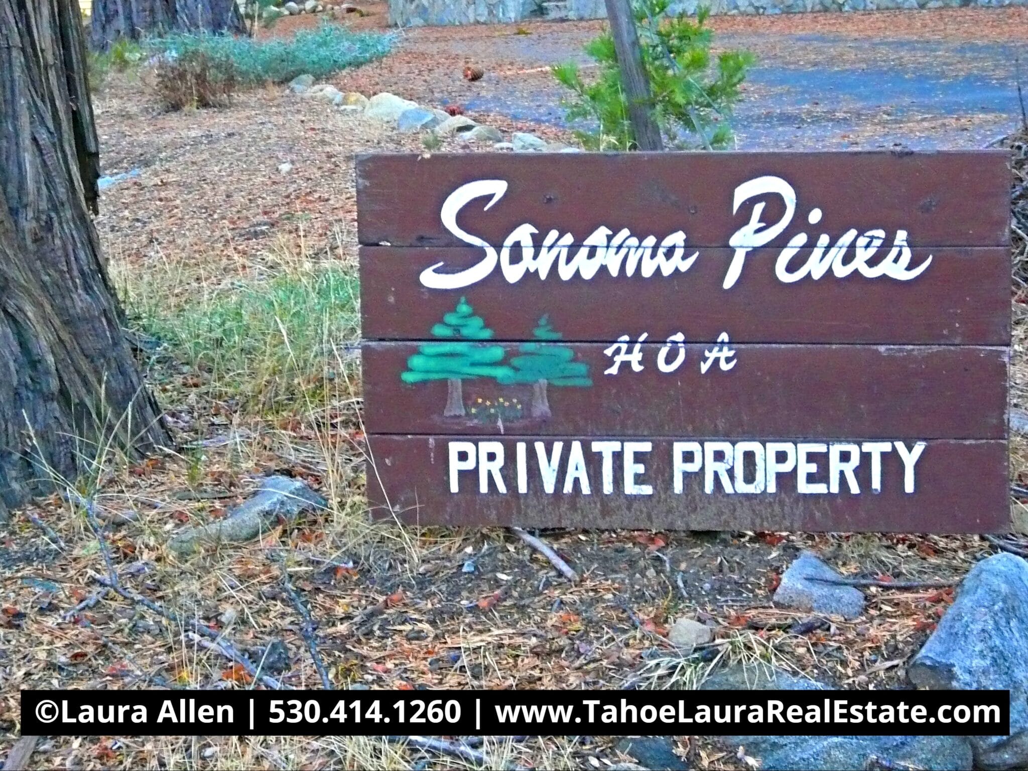 Sonoma Pines Homes for Sale in Tahoma, CA 96142