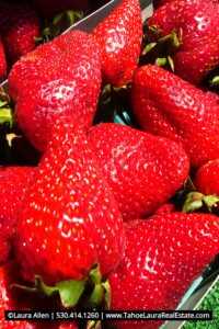 Fresh Strawberries from Tahoe City Farmers Market