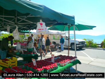 Strawberry booth at Tahoe City Farmers Market